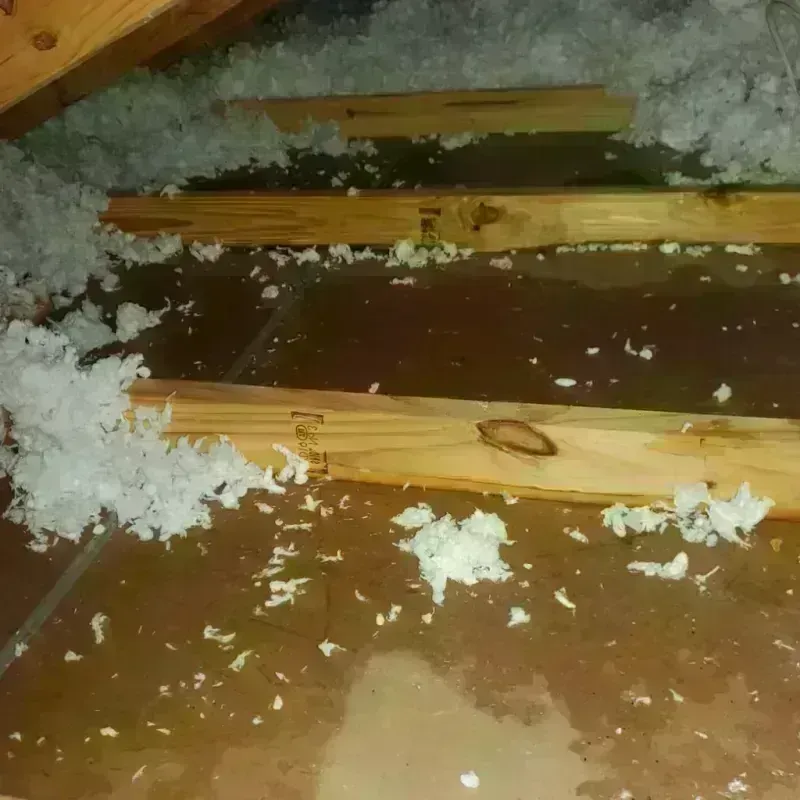 Attic Water Damage in Farmerville, LA